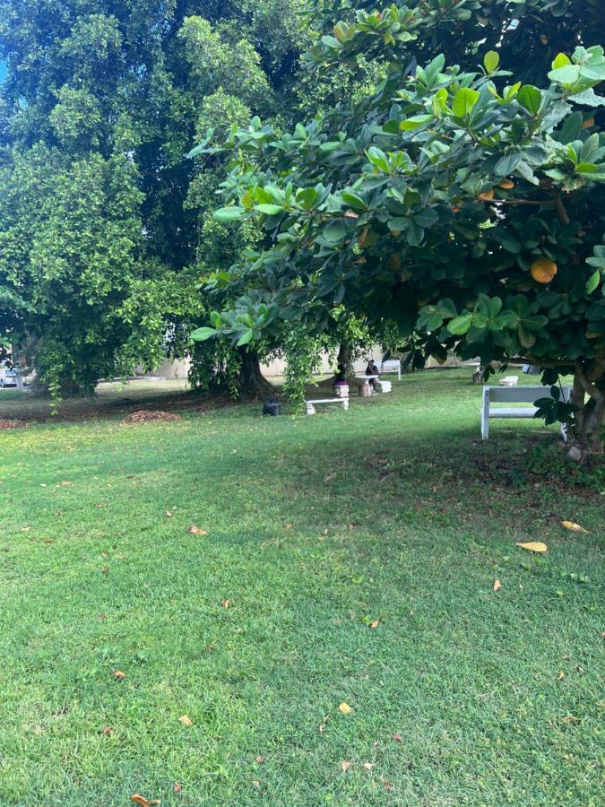 Comfort Rest Ocho Rios Buitenkant foto